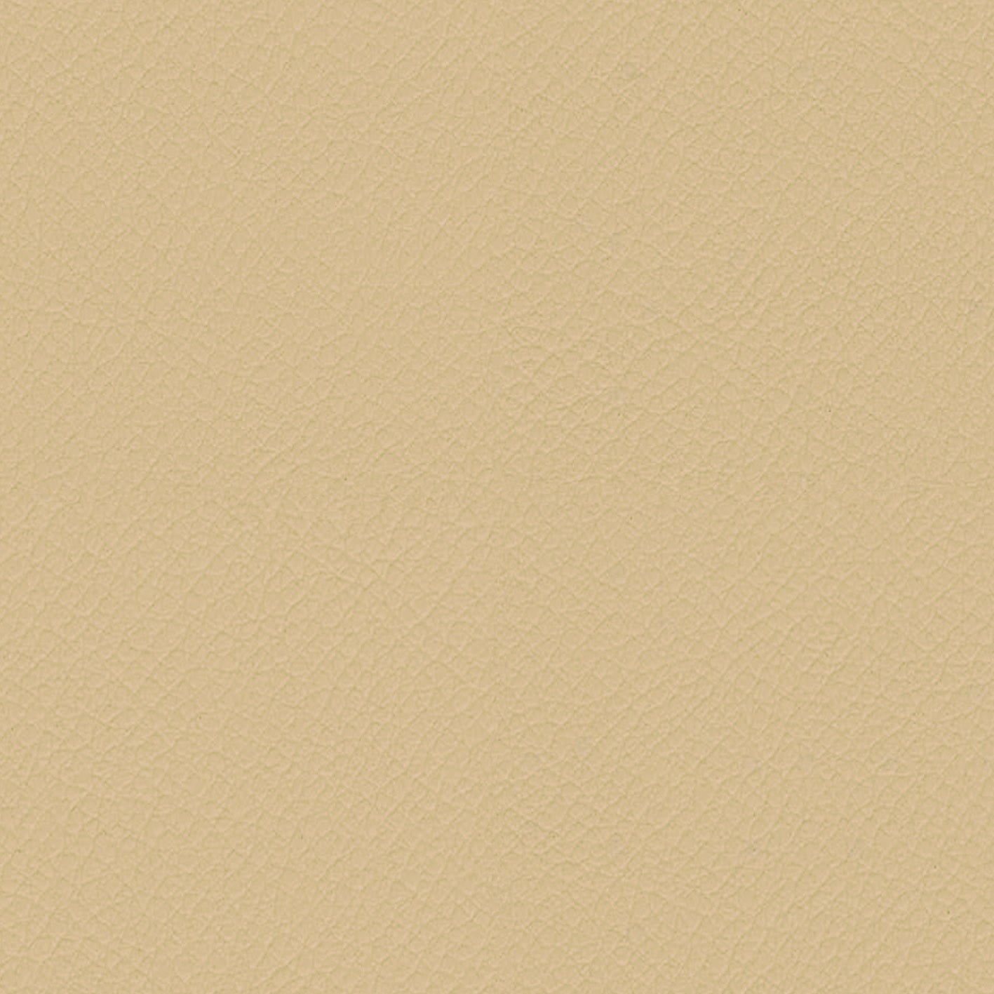 ITA38-Bone