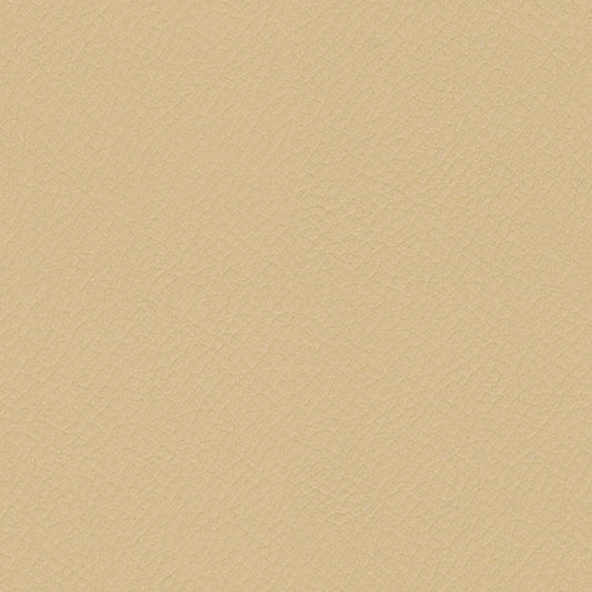 ITA38-Bone