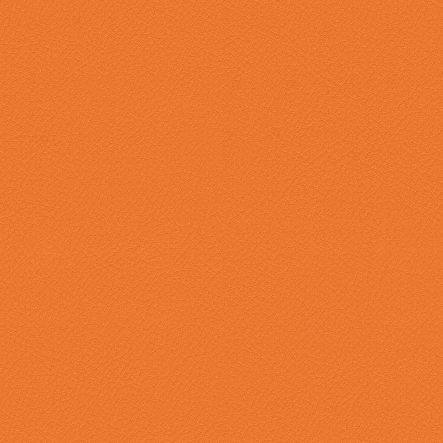 ITA41-Carrot