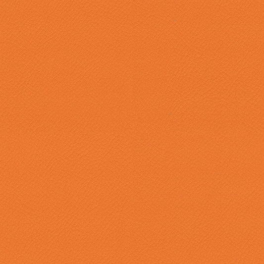 ITA41-Carrot
