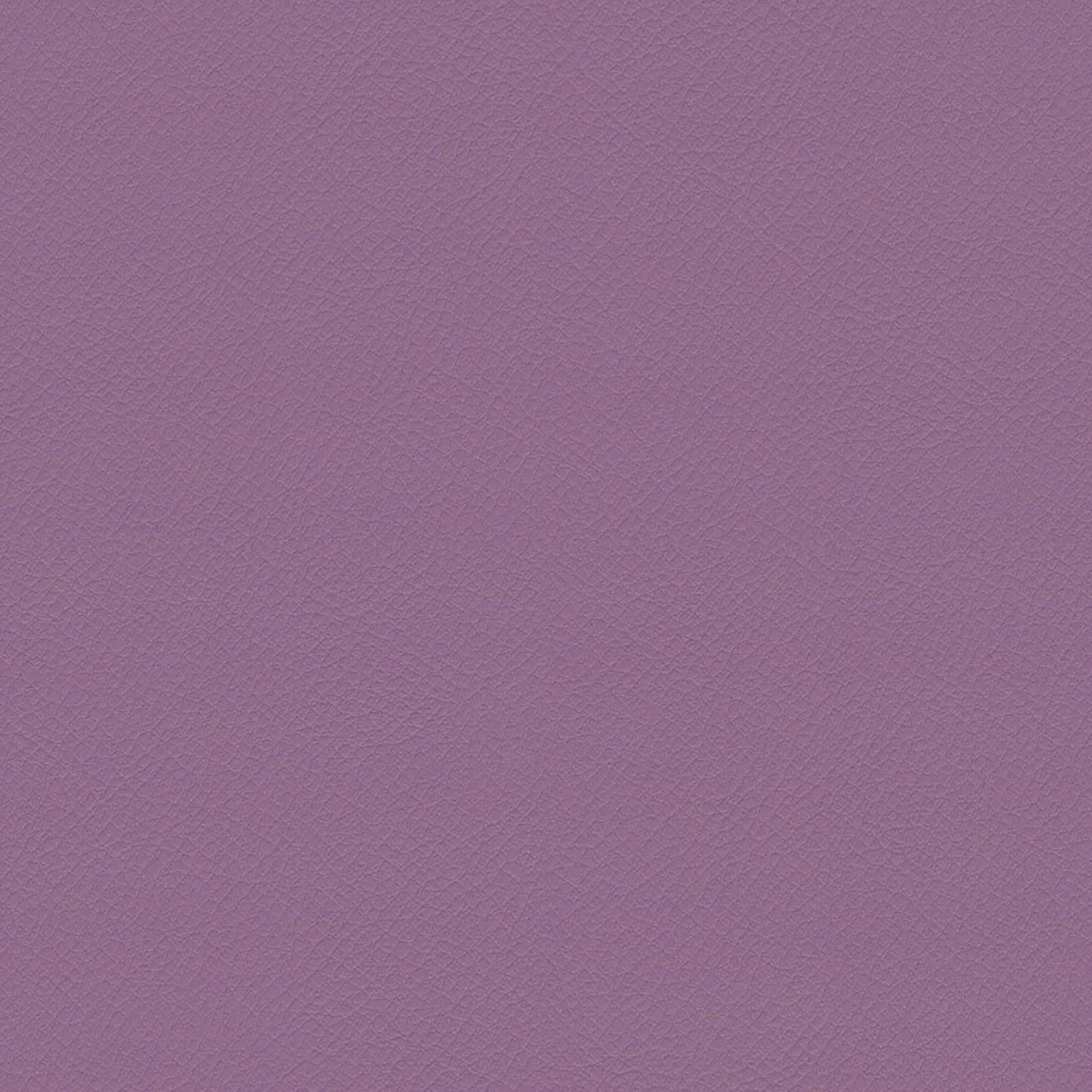 ITA49-Wisteria