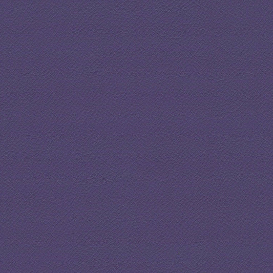 ITA55-Envy