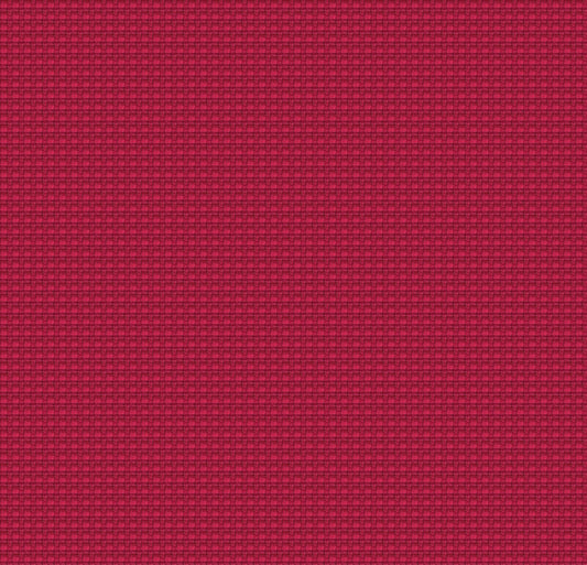 YN203-Cosmopolitan