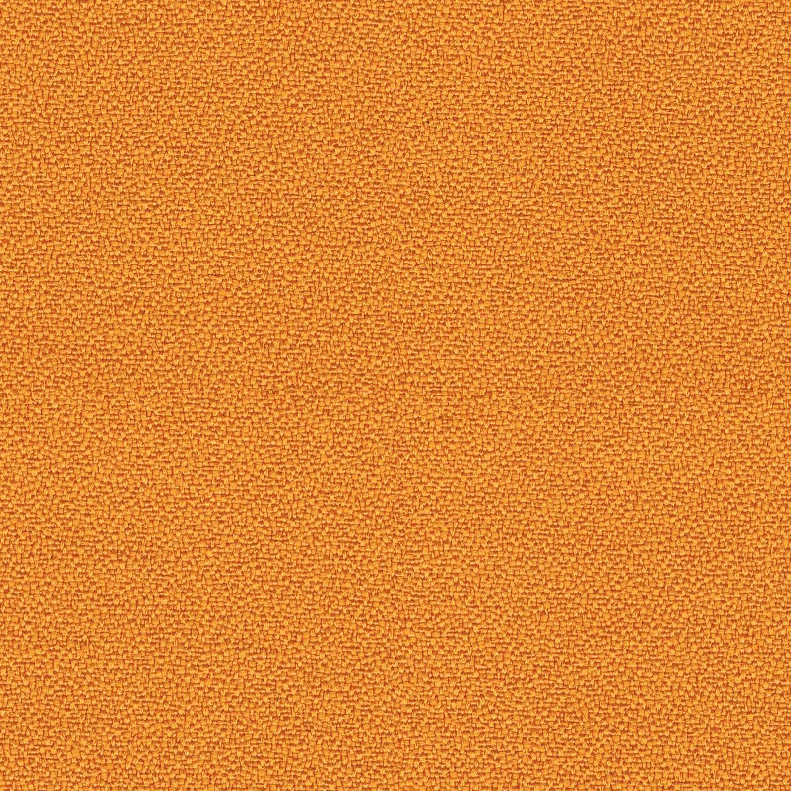 YS072-Solano
