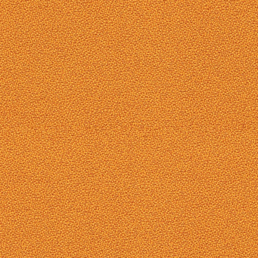 YS072-Solano