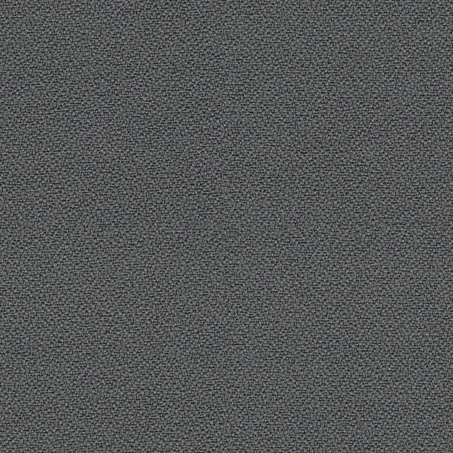 YS081-Blizzard