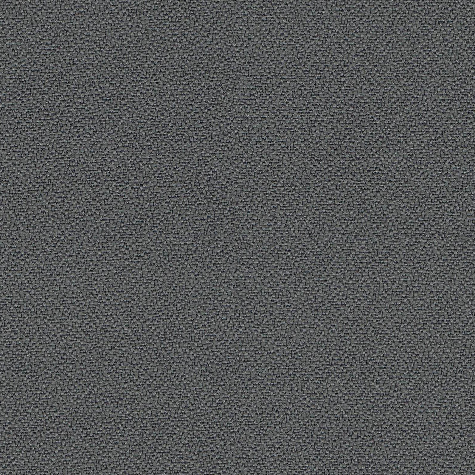 YS081-Blizzard